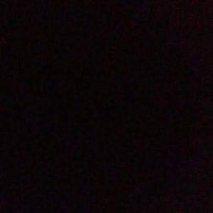 Meet your Posher, Donovan